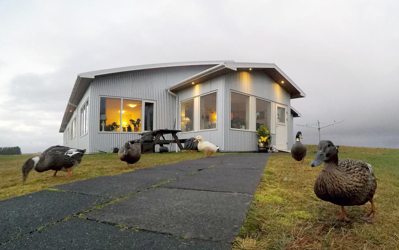 Lambastadir Guesthouse Selfoss Exterior photo